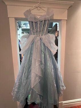 Disney Store Cinderella cosplay Ballgown costume dress- size Medium